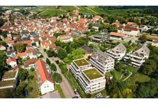 Wohnung mieten in Hildtstraße, 74189 Weinsberg, Hochwertige 107qm 4-Zimmer-Wohnung mit Südbalkon und Stellplätzen