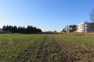 Grundstück zu kaufen in Hauptstraße, 15848 Tauche, Zentrales Areal in Lindenberg mit Zukunftspotenzial