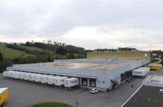 Gewerbeimmobilie mieten in 78647 Trossingen, Prod- Lagerflächen, Cross-Dock, provisionsfrei!
