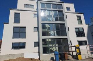 Wohnung mieten in 63517 Rodenbach, Schicke, helle 3 ZW im 1.OG in Niederrodenbach mit Balkon!