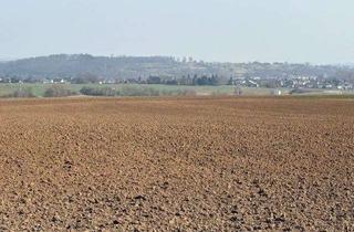 Grundstück zu kaufen in 61130 Nidderau, Idyllisches Gartengrundstück in Heldenbergen ******