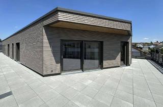Penthouse kaufen in 74363 Güglingen, Penthouse Wohnung mit Aussicht und großzügiger Terrasse