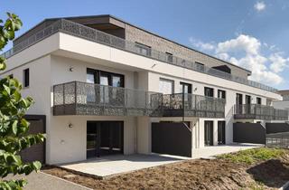 Wohnung kaufen in 74363 Güglingen, 3-Zimmer-Erdgeschoss-Wohnung mit Terrasse und Gartenanteil