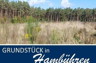 Grundstück zu kaufen in 29313 Hambühren, Attraktive Baugrundstücke für Ihr Eigenheim!