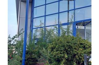 Büro zu mieten in 89160 Dornstadt, Büroetage mit Hallenbereich/Lager verkehrsgünstig an A8