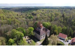 Wohnung kaufen in Steinburg 18, 06647 Steinburg, ⭐️ Kaufen Sie eine Wohnung in einem historischen Gebäude / Schloss Steinburg