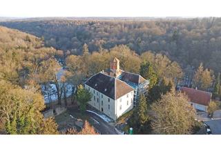 Wohnung kaufen in Steinburg 18, 06647 Steinburg, ⭐️ Kaufen Sie eine Wohnung in einem historischen Gebäude / Schloss Steinburg