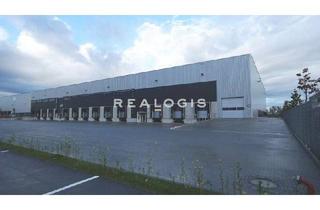 Gewerbeimmobilie mieten in 67292 Kirchheimbolanden, ca. 13.000 qm Lager- / Logistikflächen | Rampe + ebenerdig | ca. 10,50 m UKB