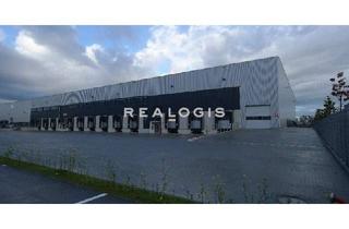 Gewerbeimmobilie mieten in 67269 Grünstadt, Ca. 15.000 qm Lager- / Logistikfläche | Rampe + ebenerdig | ca. 10,00 m UKB