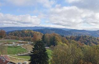 Wohnung kaufen in Geyersberg 28, 94078 Freyung, Schöne, renovierte 2-Zimmer-Ferienwohnung in toller Aussichtslage