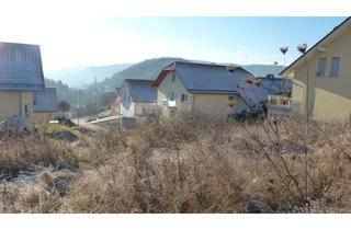 Grundstück zu kaufen in 35216 Biedenkopf, Sonniges Baugrundstück in ruhiger Lage mit Blick auf Biedenkopfer Schloss