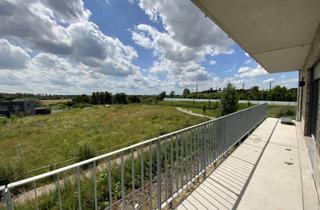 Wohnung kaufen in Kampstraße 33a-c, 23843 Bad Oldesloe, [WE 1.09 • EG • Typ 9 • EBK] 3 Zimmer-Wohnung mit riesiger Terrasse in Südlage