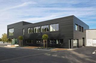 Büro zu mieten in Pippelweg 43-44, 38120 Weststadt, Modernes Bürogebäude mit Produktionshalle inkl. Büroeinbau