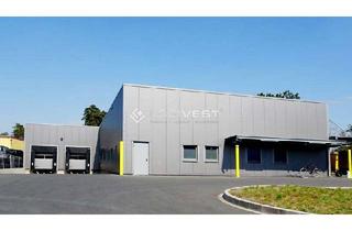 Gewerbeimmobilie mieten in 69514 Laudenbach, Logistikfläche direkt am perfekten Standort | Top-Logistikregion Rhein-Neckar