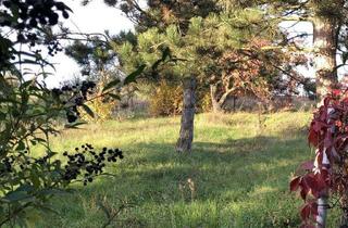 Einfamilienhaus kaufen in 06268 Querfurt, Einfamilienhaus mit ca. 1.790,00 m² großer Wiese in ländlicher Lage von Querfurt
