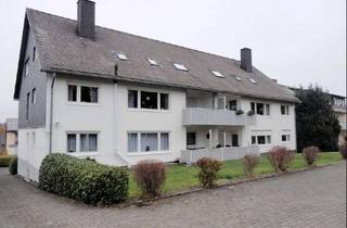 Wohnung mieten in 57627 Hachenburg, Souterrain-Wohnung
