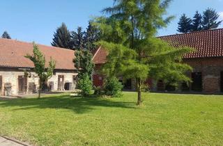 Wohnung mieten in 38364 Schöningen, Günstige renovierte Wohnung mit sieben Zimmern!!!