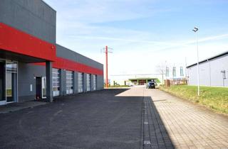 Geschäftslokal mieten in Werner-Von-Siemens-Straße 12, 89415 Lauingen, Perfekte Einzelhandelsfläche mit größzügigem Schaufenster