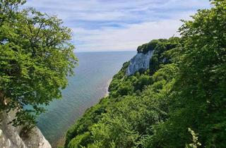 Grundstück zu kaufen in 18551 Lohme, Bauen Sie sich ihr Urlaubsparadies! Einzigartiges Grundstück in Lohme auf Rügen!