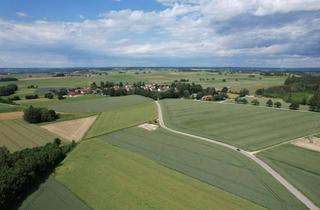 Gewerbeimmobilie kaufen in 85376 Giggenhausen, Landwirtschaftliche Grundstücke in Massenhausen / OT Hetzenhausen zu verkaufen
