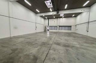 Büro zu mieten in 21435 Stelle, Stelle, ca. 1.200 m² große Lagerfläche mit Rampen und ebenerdiger Andienung zzgl. Büro