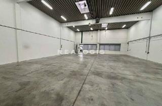 Büro zu mieten in 21435 Stelle, Stelle, ca. 1.200 m² große Lagerfläche mit Rampen und ebenerdiger Andienung zzgl. Büro