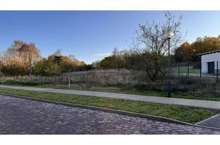 Grundstück zu kaufen in Staffelder Straße 11f, 39596 Arneburg, Erschlossenes Baugrundstück mit 1400m² - Naturnah, ruhig, aber zentral gelegen in Arneburg