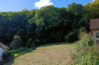 Grundstück zu kaufen in 35683 Dillenburg, Sehr schöne Baugrundstücke in Dillenburg (provisionsfrei)