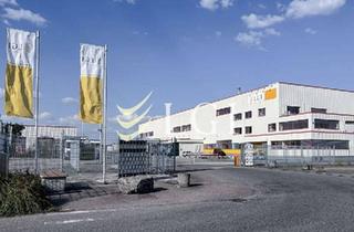 Gewerbeimmobilie mieten in Karlsruher Straße 61, 68753 Waghäusel, Hallenfläche in Waghäusel | 4.000m² (teilbar ab 1.000m²)