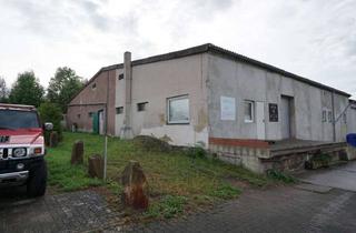 Gewerbeimmobilie kaufen in 34471 Volkmarsen, Lagerhalle mit Freifläche in Volkmarsen