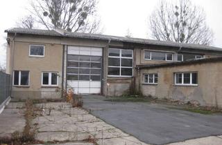 Gewerbeimmobilie mieten in Schützenstr 7,7a, 14943 Luckenwalde, Gewerbeflächen in Bestlage zu vermieten