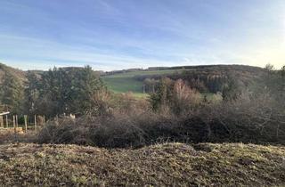 Grundstück zu kaufen in Rosenstraße 13, 67823 Schiersfeld, Attraktives Baugrundstück 911m² in traumhafter, ruhiger Hanglage von Schiersfeld