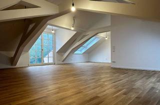 Wohnung mieten in Anna Pfund Strasse 10, 77933 Lahr, Dachstudio mit großer Dachterrasse, Luxus EBK und Aussicht