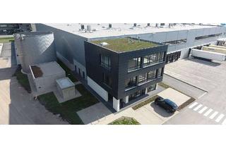 Gewerbeimmobilie mieten in 63533 Mainhausen, "BAUMÜLLER AG" - ca. 20.000 m² Hallenfläche - Rampen + ebenerdig