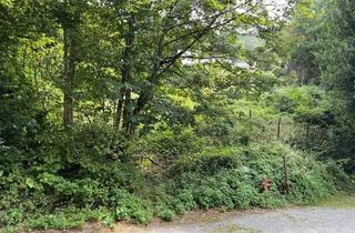 Grundstück zu kaufen in 75323 Bad Wildbad, Baugrundstück Bad Wildbad am Kurpark