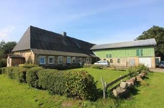 Lager kaufen in Süderweg, 25885 Ahrenviölfeld, Resthof (in Vermietung) mit diversen Nebengebäuden und kleiner Hauskoppel