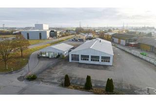 Gewerbeimmobilie kaufen in Rötenweg 4/2, 88518 Herbertingen, Produktionshalle / Lagerhalle - Produzieren, Lagern und Ausstellen...vielseitige Gewerbeimmobilie.