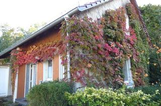 Einfamilienhaus kaufen in 37671 Höxter, RIESIEGE Wohnfläche - RISIEGES Wohngefühl VIEL Platz für die Großfamilie!