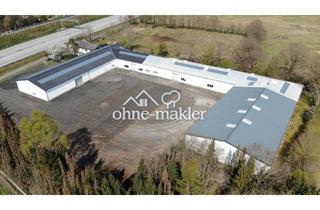 Büro zu mieten in 24568 Kaltenkirchen, Gewerbe Hallen 100-614 m² in Nützen / Kaltenkirchen bei HH an der A 7 zu vermieten