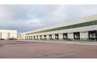 Gewerbeimmobilie mieten in Lösnitz-Markt 21, 06780 Zörbig, Gewerbekomplex mit Erweiterungspotenzial!