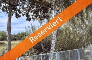 Grundstück zu kaufen in 04523 Pegau, Großes Grundstück in Wohnsiedlung, Grundstück für Gewerbe in Pegau zu verkaufen.