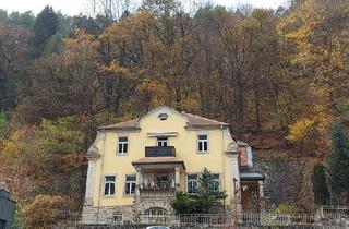 Wohnung kaufen in 01814 Bad Schandau, Sächsische Schweiz - 2 ETW in kleiner Villa in Bad Schandau
