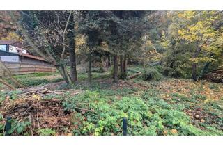 Grundstück zu kaufen in 01796 Pirna, Großes Baugrundstück am Elberadweg in Pirna