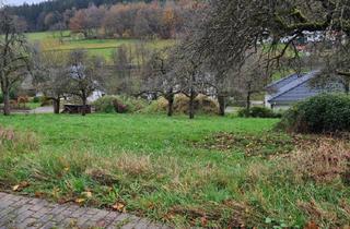 Grundstück zu kaufen in 63937 Weilbach, Großes Baugrundstück in traumhafter Ortsrandlage von Weilbach OT Weckbach
