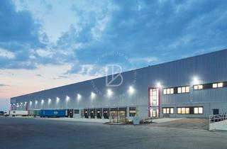 Gewerbeimmobilie mieten in 39245 Gommern, "BAUMÜLLER AG" - moderne Logistikfläche - ca. 45.000 qm - nahe BAB