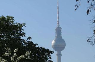 Immobilie mieten in Borsigstraße, 10115 Mitte, Borsigstraße, Berlin furnished