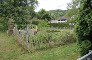 Grundstück zu kaufen in 74542 Braunsbach, Braunsbach schöner Bauplatz , voll erschlossen 1157qm , frei , 2 vollg plus Dach