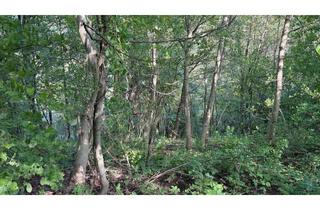 Grundstück zu kaufen in Guckenbrunnen, 71384 Weinstadt, 2 Wald- bzw, Gartengrundstücke in Weinstadt-Schnait