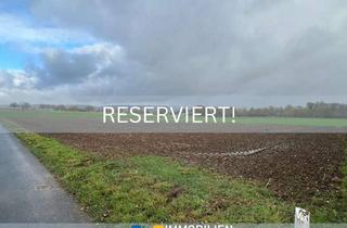 Grundstück zu kaufen in 32549 Bad Oeynhausen, Attraktives Baugrundstück in gefragter Lage von Bad Oeynhausen - Werste