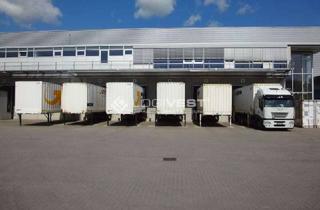 Gewerbeimmobilie mieten in 89250 Senden, Großzügige Lagerfläche mit Rampenandienung